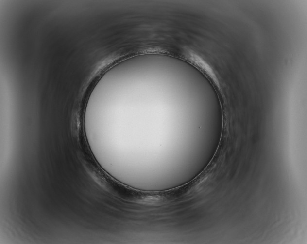 X0000087360059200704200834