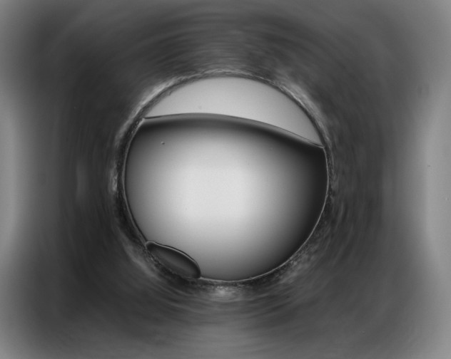 X0000087360060200704200834