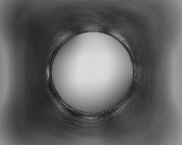 X0000087360061200704200834
