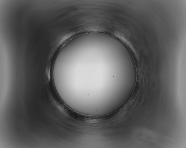 X0000087360062200704200834