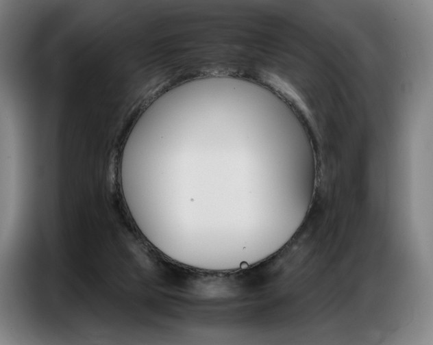 X0000087360065200704200834