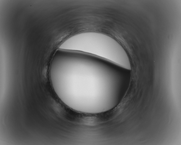 X0000087360066200704200834