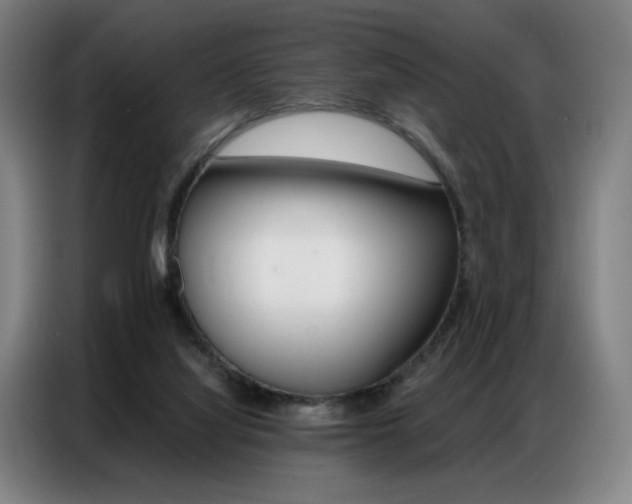 X0000087360068200704200834