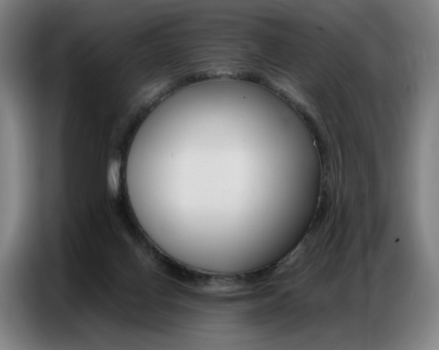 X0000087360070200704200834