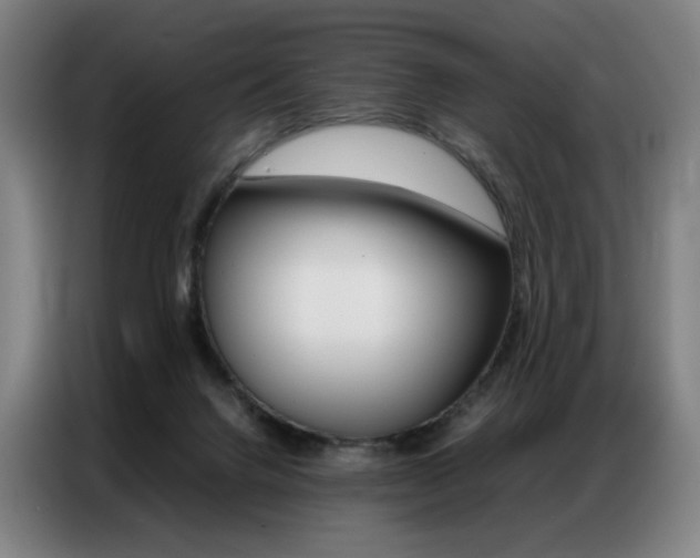 X0000087360072200704200834