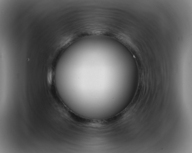 X0000087360076200704200834