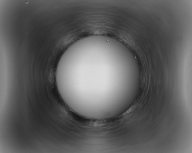 X0000087360078200704200835