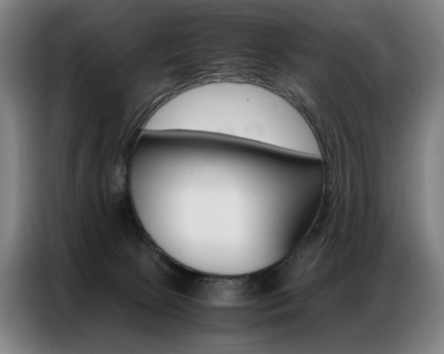 X0000087360081200704200835