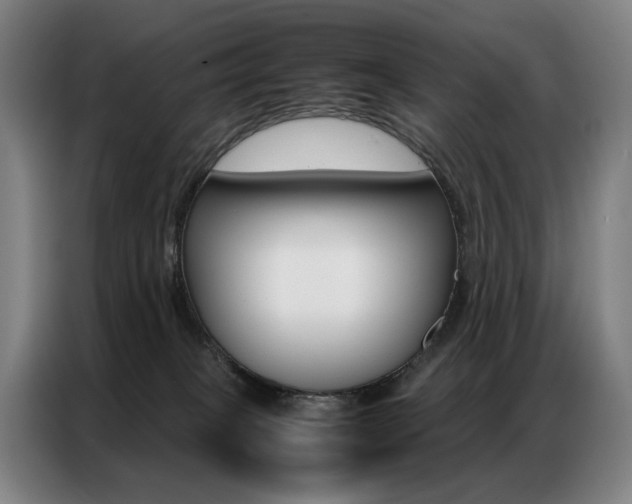 X0000087360085200704200835