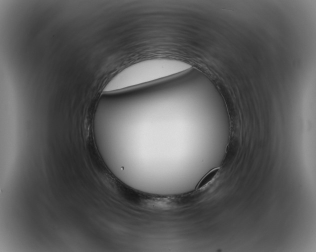 X0000087360086200704200835