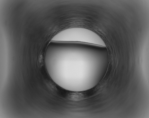 X0000087360087200704200835