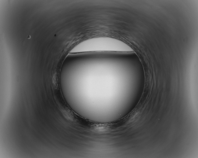 X0000087360088200704200835