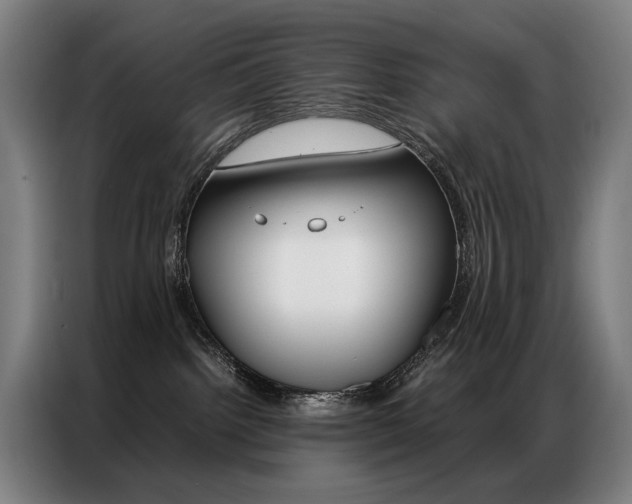 X0000087360092200704200835
