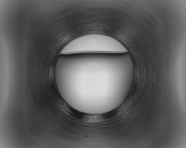 X0000087360093200704200835