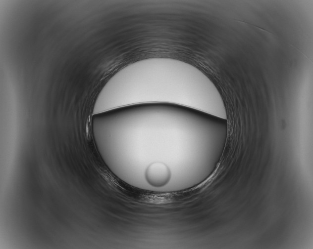 X0000087360094200704200835
