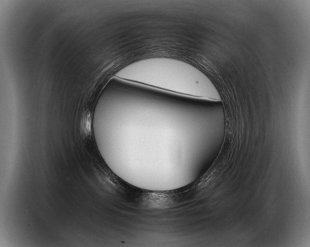 X0000087360095200704200835