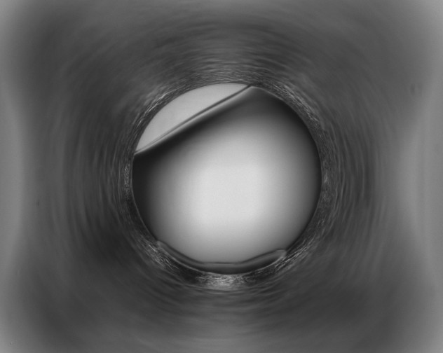 X0000087360096200704200835