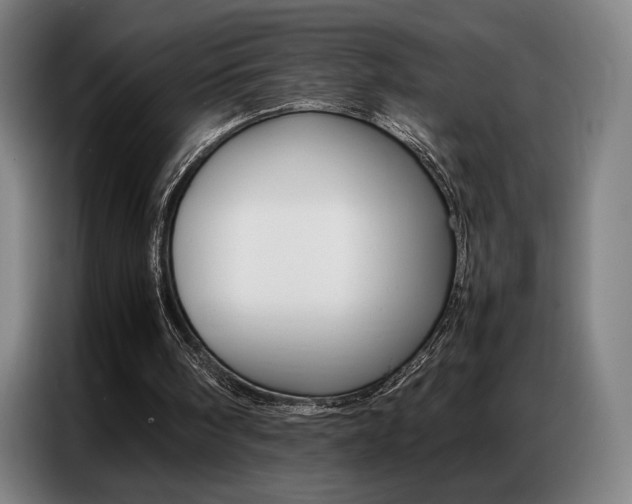 X0000087360098200704200834