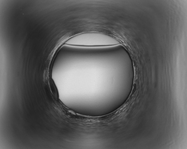 X0000087360099200704200834