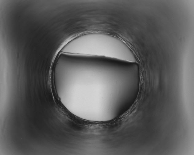 X0000087360100200704200834