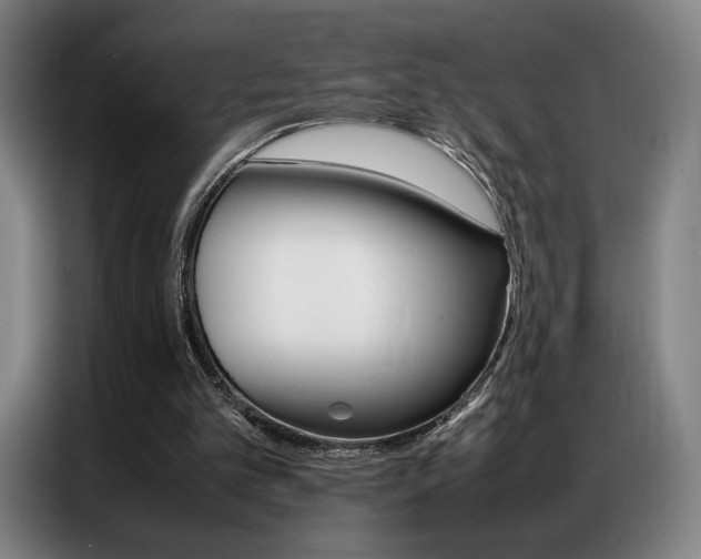 X0000087360101200704200834