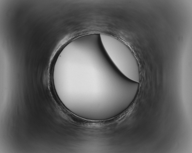X0000087360102200704200834