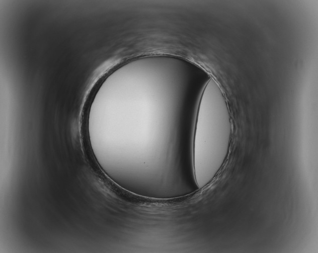 X0000087360104200704200834