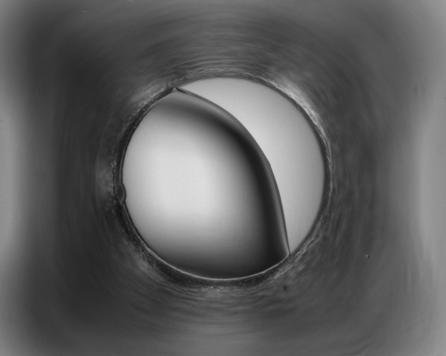 X0000087360105200704200834