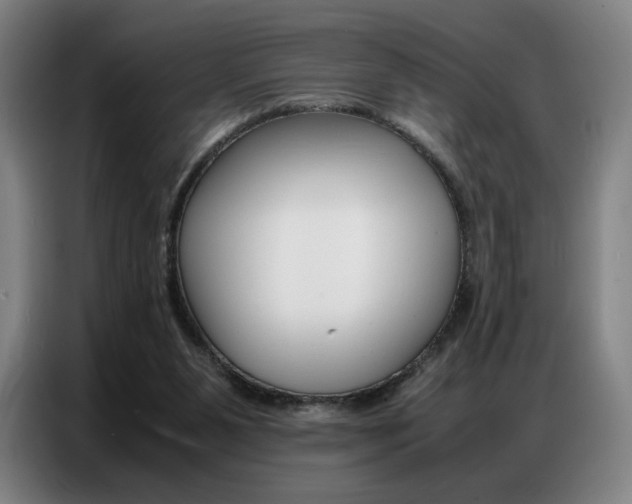 X0000087360111200704200834