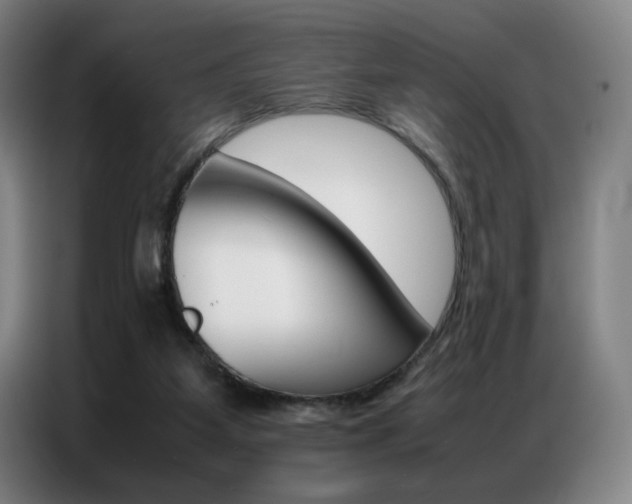 X0000087360115200704200834