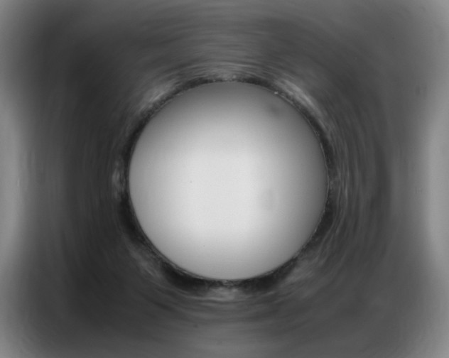 X0000087360119200704200834
