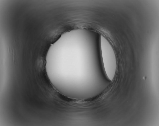 X0000087360121200704200834