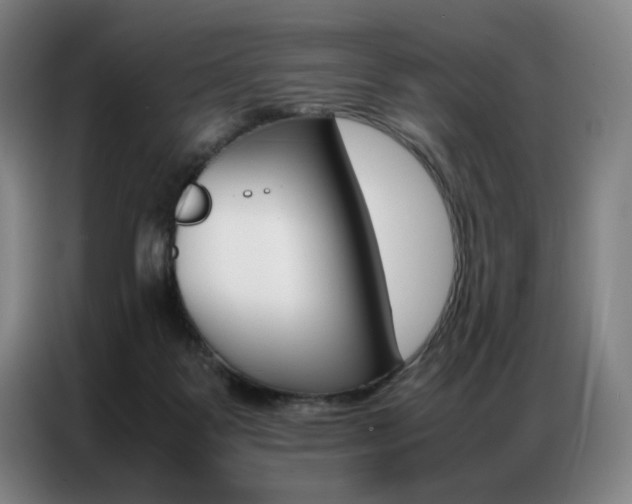 X0000087360123200704200834
