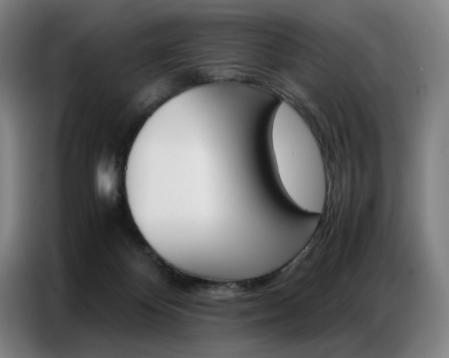 X0000087360124200704200834