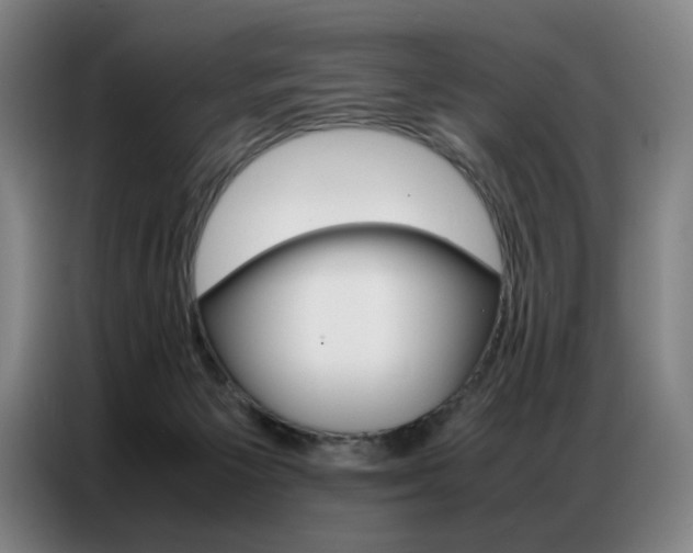 X0000087360125200704200834