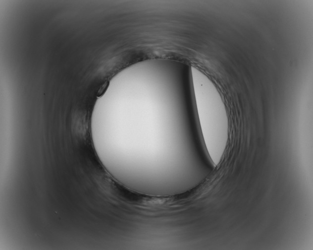 X0000087360129200704200834