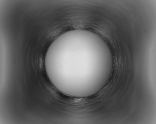 X0000087360130200704200834