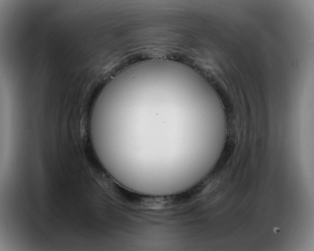 X0000087360131200704200834