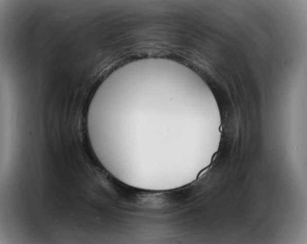 X0000087360132200704200834