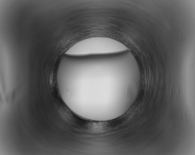 X0000087360134200704200834