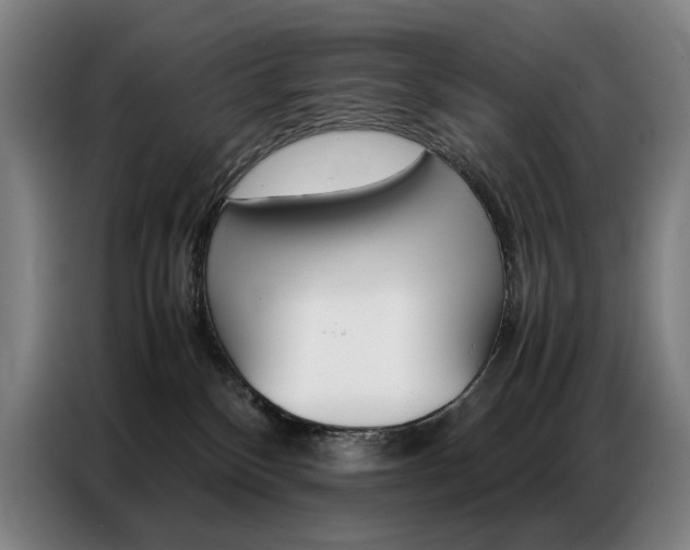 X0000087360136200704200834