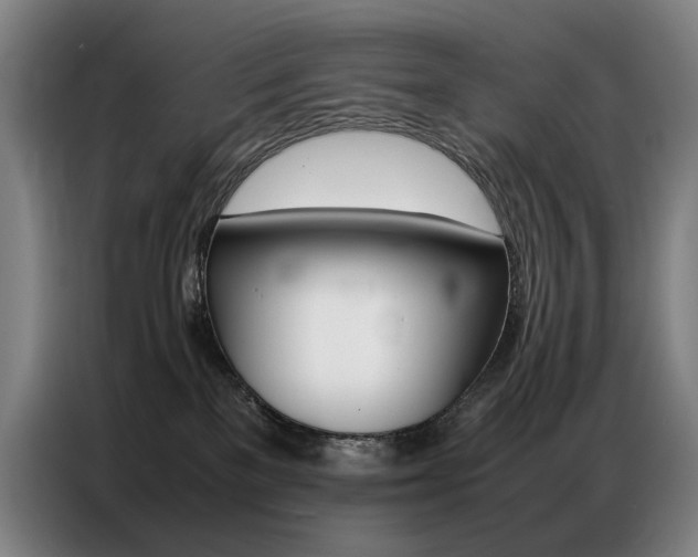 X0000087360137200704200834