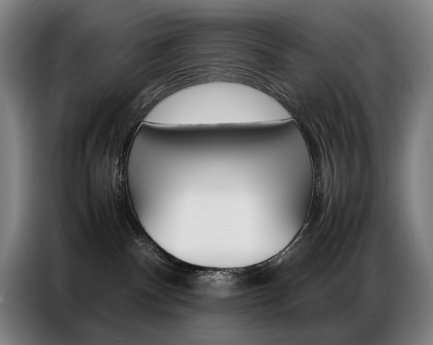X0000087360140200704200834