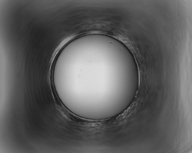 X0000087360147200704200833