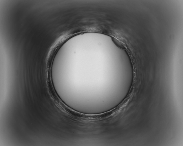 X0000087360149200704200833