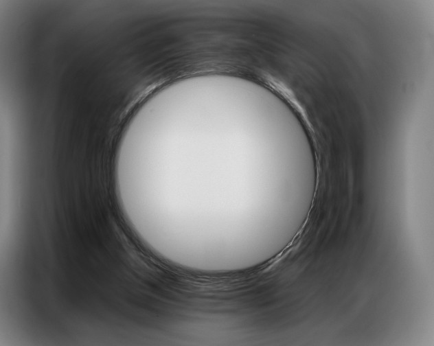 X0000087360154200704200833