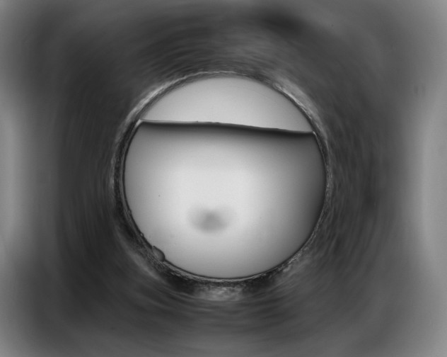 X0000087360155200704200833