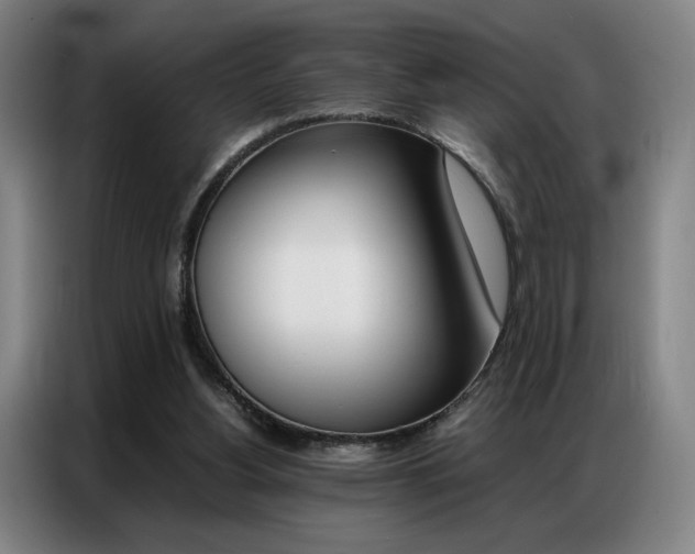 X0000087360156200704200833