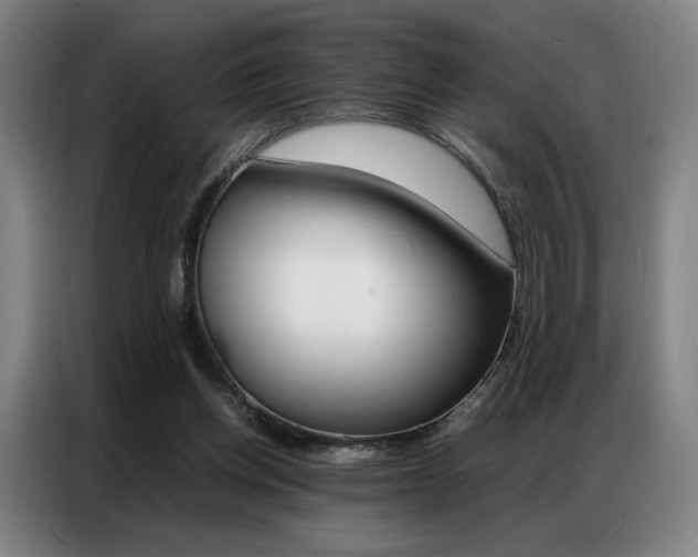 X0000087360158200704200833