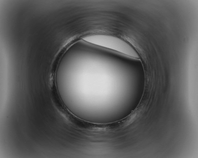 X0000087360160200704200833